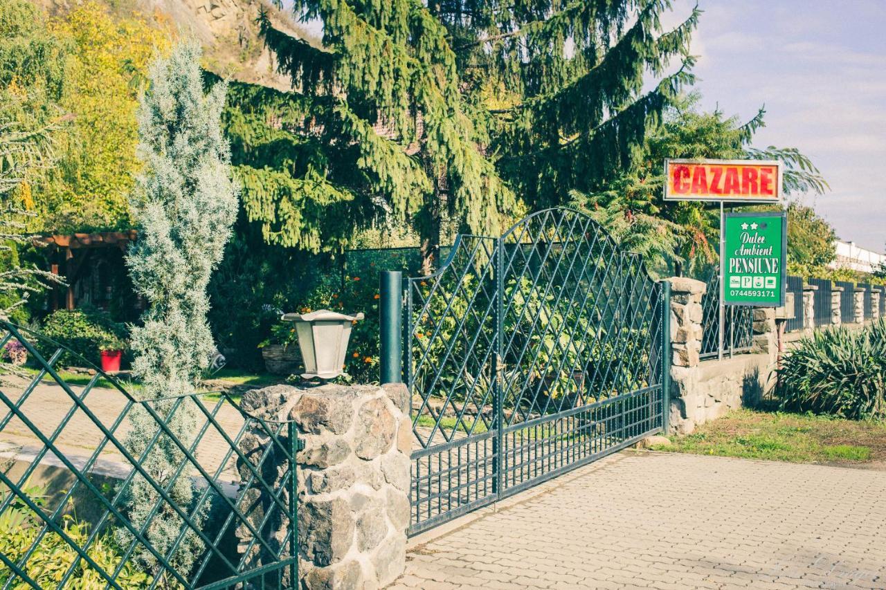 Pensiunea Dulce Ambient Paulis Exteriör bild