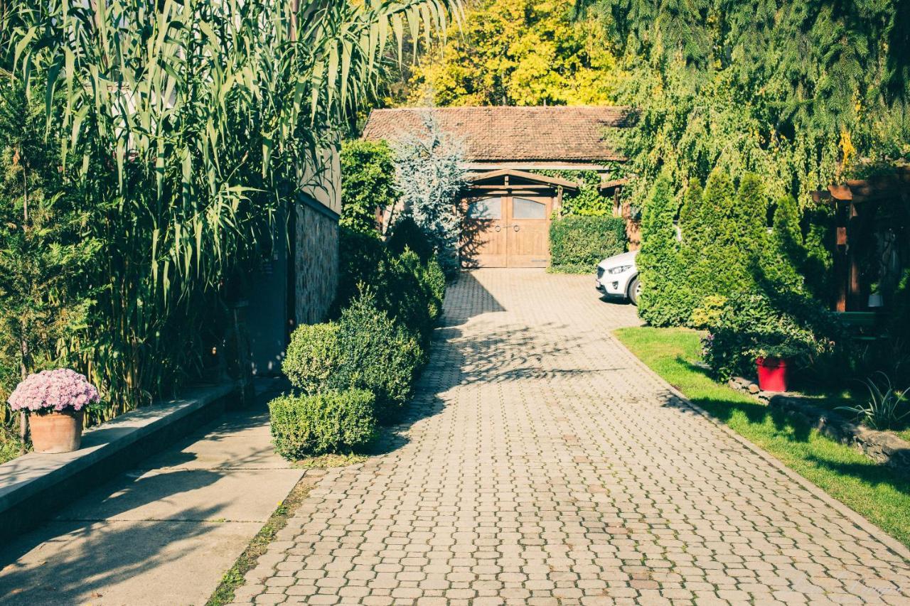 Pensiunea Dulce Ambient Paulis Exteriör bild